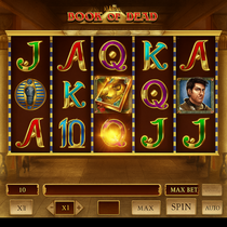 Wild Fortune - Book of Dead Slot Game - Play'n GO